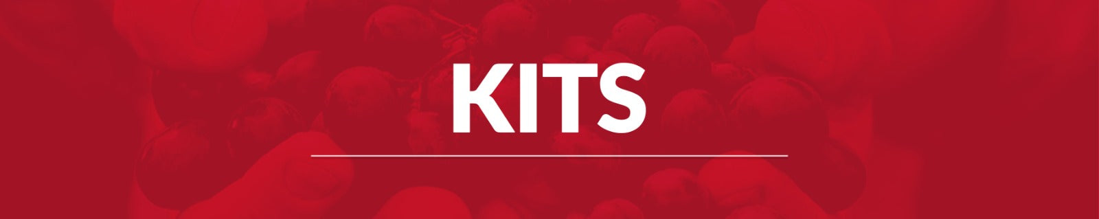 KITS